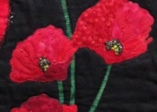 Poppies