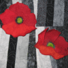 QQ606 Poppin' Poppies - Image 3