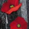 QQ606 Poppin' Poppies - Image 5