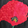 QQ604 Fabulous Flowers- Poppies - Image 4